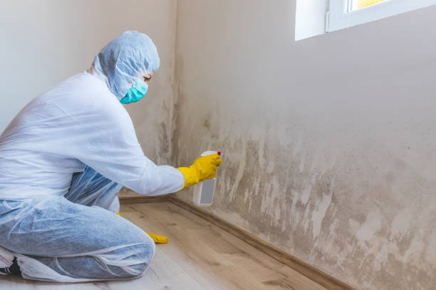 Licensed Crawl Space Mold Removal service in Marlton, MD - WQB Mold Removal