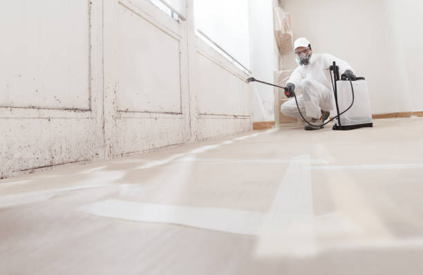 Trusted Crawl Space Mold Removal service in Marlton, MD - WQB Mold Removal