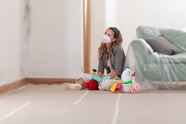 Reliable Crawl Space Mold Removal contractor in Marlton, MD by WQB Mold Removal